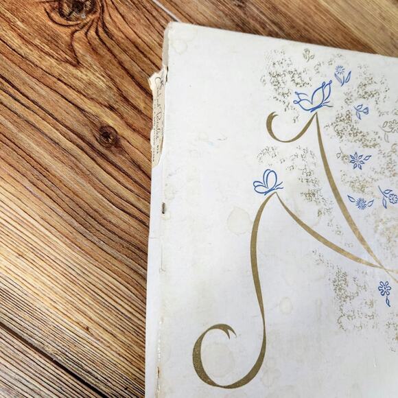 DEADSTOCK DAN RIVER COMBED PERCALE PILLOWCASES COQUETTE KAWAII - Picture 5 of 6